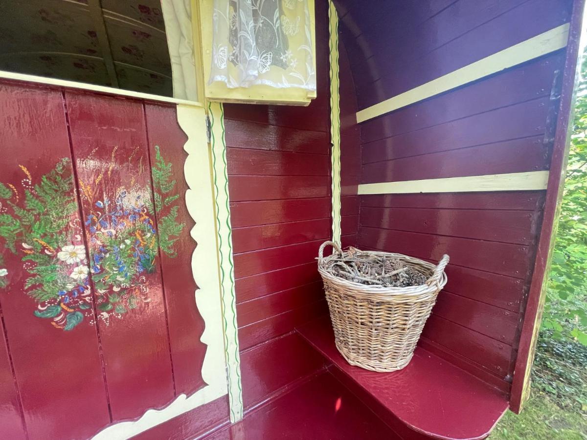 Fernwood Bed & Breakfast Ringwood Exterior foto